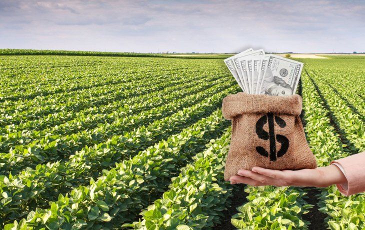 Es oficial la baja de las retenciones a la carne, el maíz y la soja