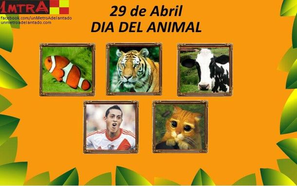 En el Día del Animal, los hinchas se ríen de Funes Mori