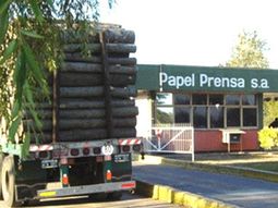 Papel prensa Papel prensa