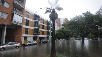 ¿quienes son los famosos afectados por el temporal? ¿quienes son los famosos afectados por el temporal?
