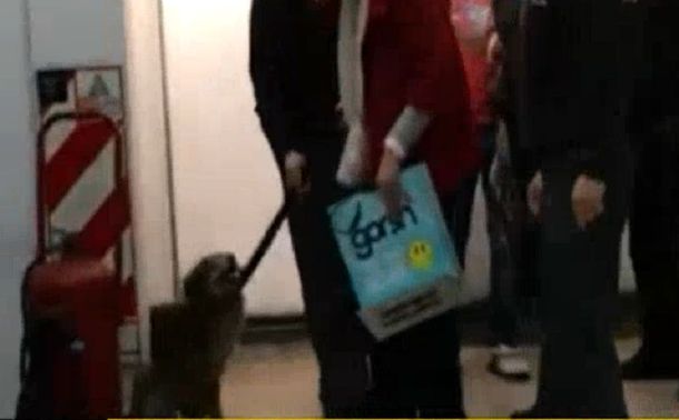 Un perro, el culpable de la demora de la Línea D de subtes