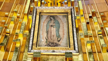 La oración especial a la Virgencita de Guadalupe para recibir su bendición y pedir un milagro. La oración especial a la Virgencita de Guadalupe para recibir su bendición y pedir un milagro.