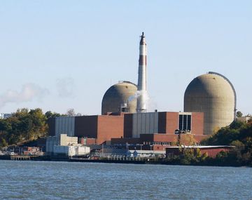 Una planta nuclear de Nueva York se quedó sin energía por excremento de aves