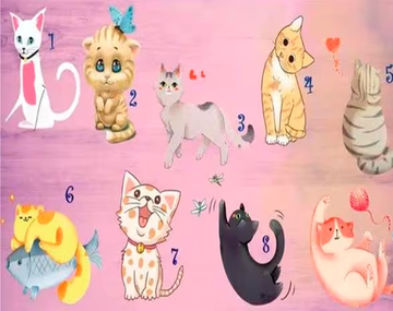 Test viral: el gato que elijas en la imagen revelará tu verdadera personalidad