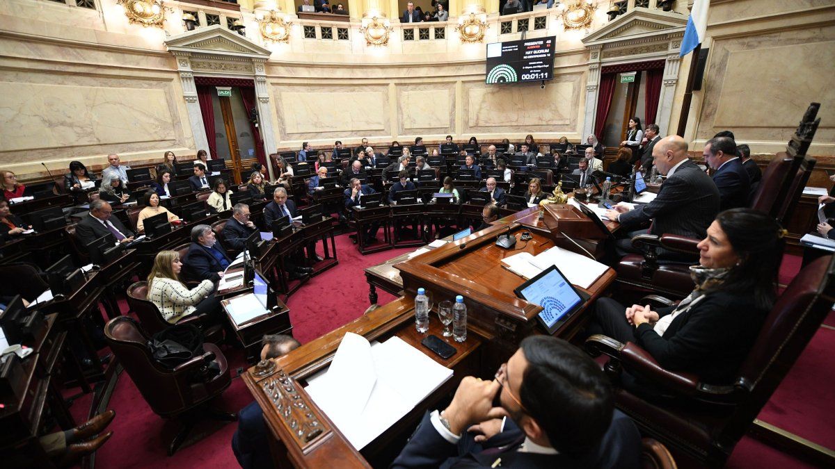 El Senado debate la suspensión de las PASO