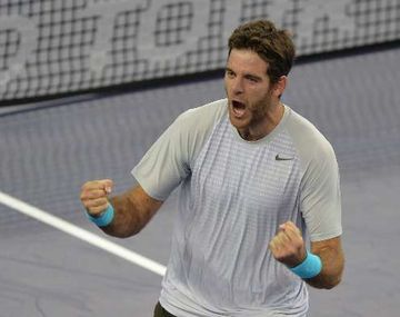 Del Potro aplastó a Nadal y llegó a la final de Shanghai
