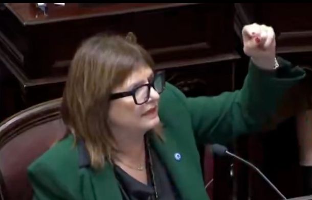 El oficialismo busca retomar en el Senado el debate sobre la eliminación de las PASO