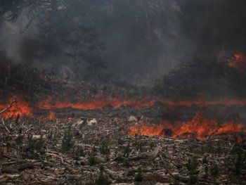 Incendios en Bariloche: malestar con el ministro Cabandié