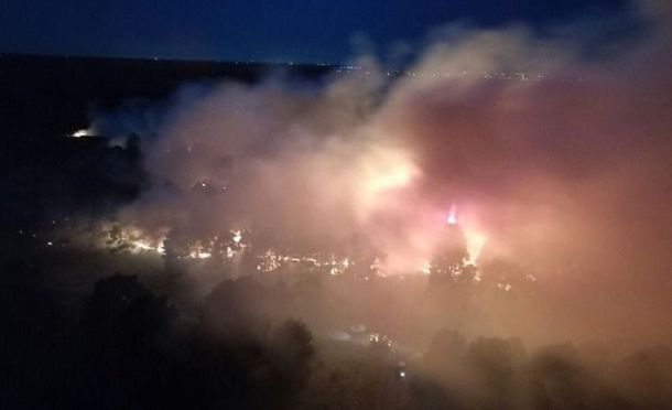 Un voraz incendio afectó a una reserva forestal en Mar del Plata