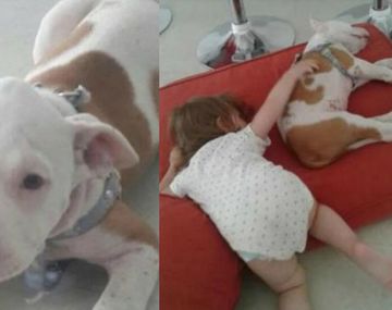 Les robaron el perro que Papa Noel les había traído&nbsp;