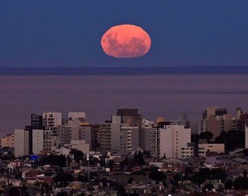 Superluna rosa en Puerto Madryn. Foto: Télam.