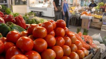 piden reducir el consumo de tomate por posibles faltantes piden reducir el consumo de tomate por posibles faltantes