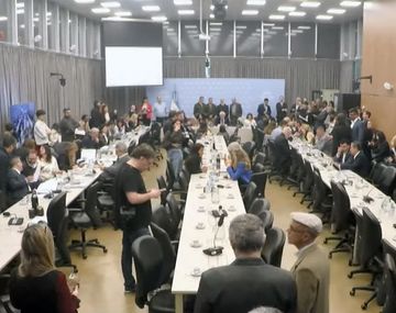 Plenario de las comisiones de Defensa, Legislación Penal y Relaciones Exteriores y Culto.