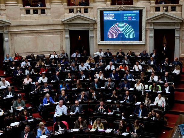 Ley Bases: qué diputados votaron a favor y cuáles en contra