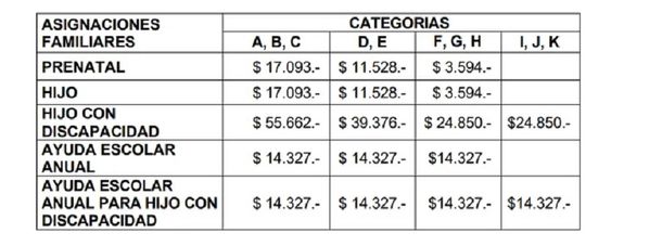 Asignaciones Familiares De ANSES: Así Quedaron Las Prestaciones A ...