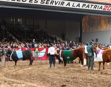 Cómo quedan las retenciones tras los anuncios de Javier Milei en La Rural