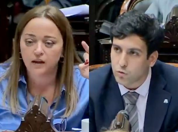 La corrección de Cecilia Moreau a un diputado libertario que se volvió viral