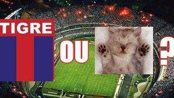 san pablo se burla del abandono de tigre san pablo se burla del abandono de tigre