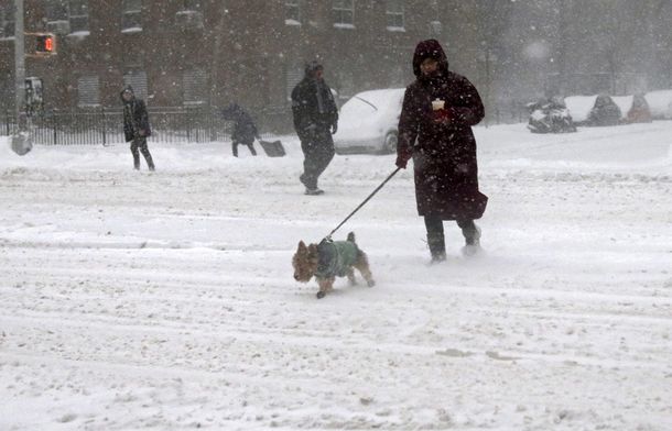 Al menos 21 muertes por la tormenta de nieve en Estados Unidos: avanza el vórtice polar