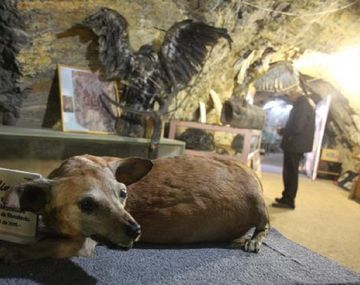 Gentileza diario de Cuyo.
