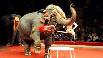 Jenny y Magda palearon el frío con vodka Jenny y Magda palearon el frío con vodka