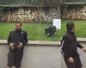 Jaguar mostró su talento para la caza