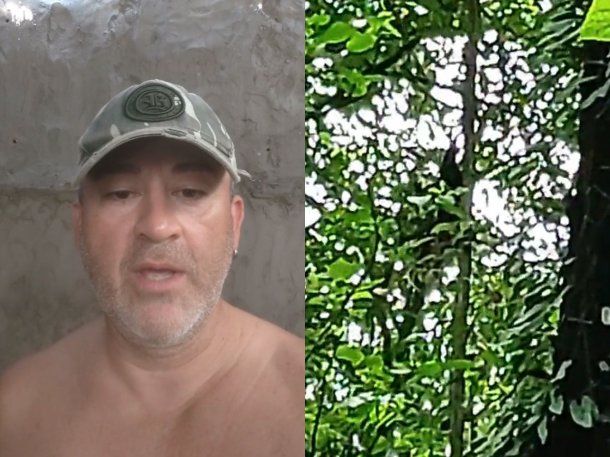 Tucumán: salió a caminar por el monte y grabó a un duende