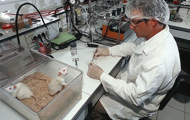 Científicos realizarán una lavada de platos simbólica contra Macri