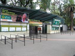 exigen el cierre del zoo tras la muerte del oso polar exigen el cierre del zoo tras la muerte del oso polar