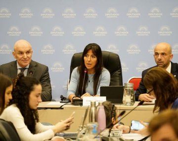 Diputados: hay dictamen a favor de la privatización de Aerolíneas Argentinas