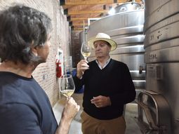 Se estrenó Vino Buenos Aires, el documental de la viticultura bonaerense