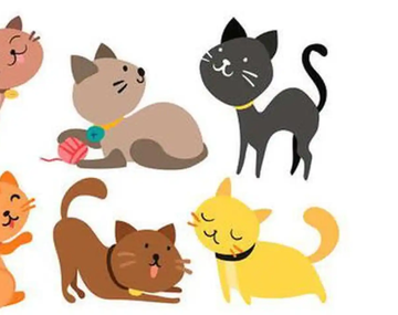 Este test viral te invita a descubrir el lugar ideal donde te gustaría vivir solo eligiendo un gatito.