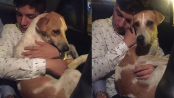 Erik y su nuevo perro Firulais Erik y su nuevo perro Firulais