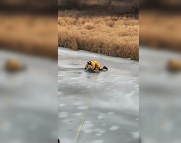 La policía tuvo que rescatar al perro que había quedado varado en el hielo