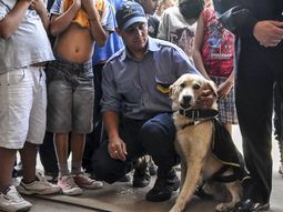 Un perro hizo que echaran a un jefe de policía en Corrientes Un perro hizo que echaran a un jefe de policía en Corrientes