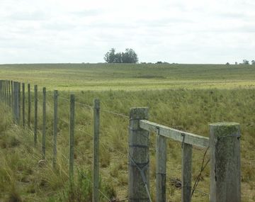 Un anciano quedó enganchado en un alambrado y murió de frío
