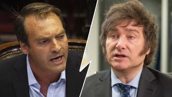 payaso y chucky mal diagnosticado: criticas a javier milei en el senado payaso y chucky mal diagnosticado: criticas a javier milei en el senado