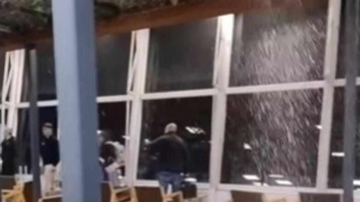 Imagen noticia completa