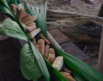 Survivor Expedición Robinson: indignación por un premio que no fue lo esperado