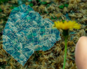 El mapa porteño del estornudo