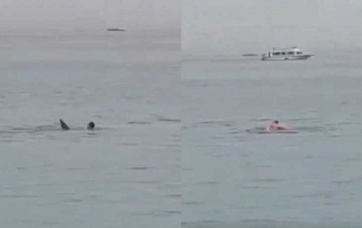 Un tiburón se comió a un turista en Egipto
