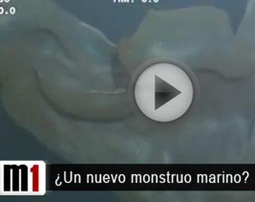 Monstruo
