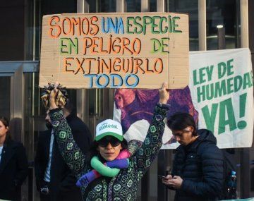 Ley de humedales: ambientalistas protestan en el Congreso