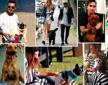Las mascotas de los famosos