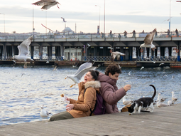 El drama turco que arrasa: la serie de 8 capítulos en Netflix&nbsp;