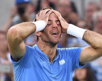 Del Potro recibió la invitación y jugará el US Open