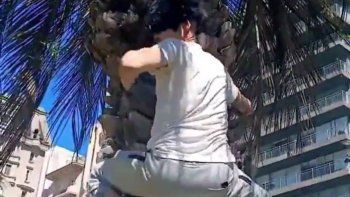 video: therian de 38 anos que se autopercibe mono reavivo el debate en redes video: therian de 38 anos que se autopercibe mono reavivo el debate en redes