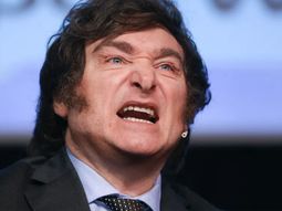 milei pierde apoyo: su imagen positiva cayo un 4% en julio