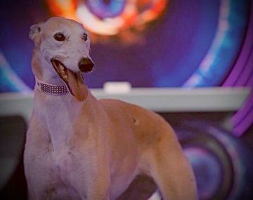 La historia de Paris