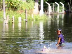 salud advierte por brote de dengue en el litoral tras las inundaciones salud advierte por brote de dengue en el litoral tras las inundaciones